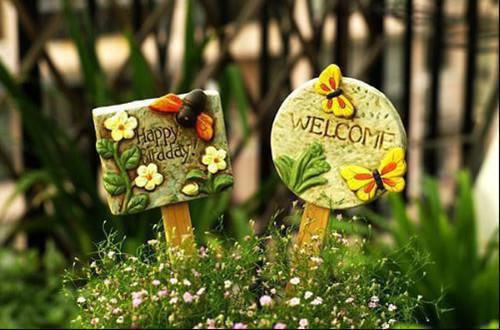 曲若凝贺辞洲是哪部小说 雨夜诱引最新章节更新