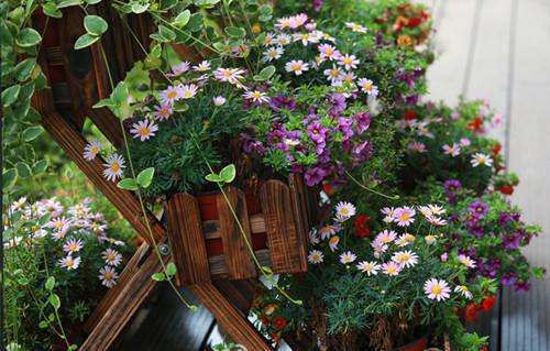 姜澜汐萧璟姜稚雪小说免费阅读 应邀参加庶妹大婚，宾客吓呆了电子书