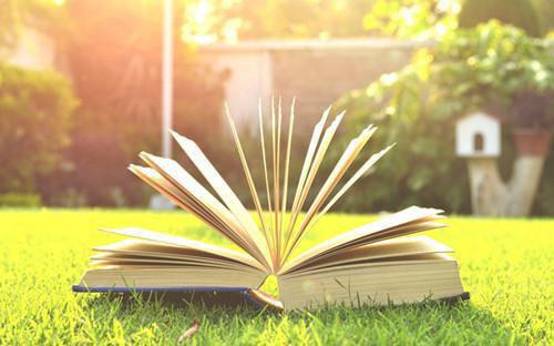 容瑾戈沈栖月的小说叫什么 沈栖月容瑾戈原著在线阅读