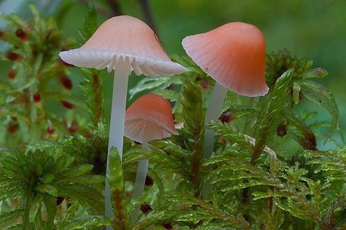 贺呈甘露最新章节更新 老婆给她妈买二十三万包包，却嫌我妈八百房租贵笔趣阁