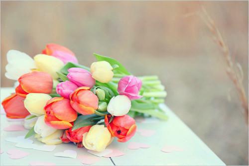 林诗云雷江屿的最新章节更新时间 西山雪月照我心知乎林诗云雷江屿