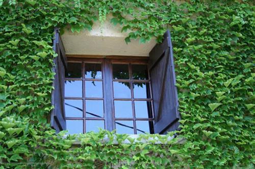 贾思念贾明珠什么关系 从雪山回来的一家人很奇怪by匿名免费阅读