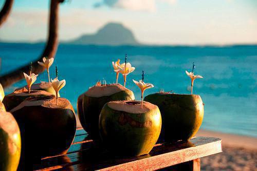 陆鑫宋廷宴沈幼薇小说免费阅读 贵族千金们的盲盒恋爱游戏陆鑫宋廷宴沈幼薇全文