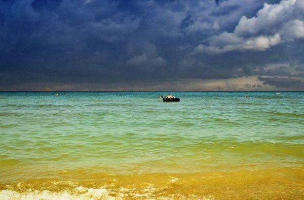 陆芸白顾修远沈寒免费阅读最新章节 候一场漫天飘雪by周周免费阅读