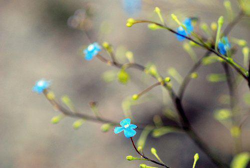 董景桐顾渊林雅最新章节内容 空降查岗，总裁老公他慌了笔趣阁最新章节