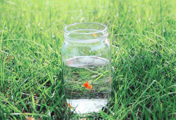 姜如玉顾书砚笔趣阁免费阅读 错位婚姻:总裁的赎罪爱人笔趣阁最新章节