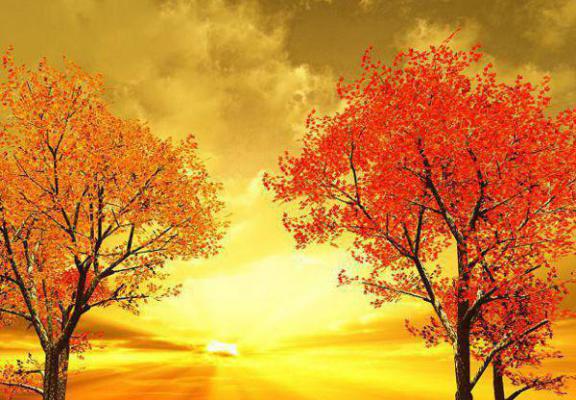 苏简玥云妃免费阅读最新章节结局 四个师兄不靠谱,师妹行走靠自己男主苏简玥云妃小说