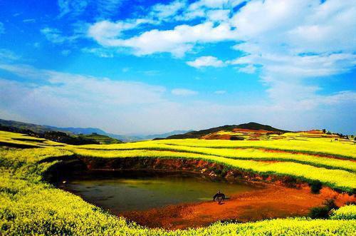 江陵顾蕴祁易免费阅读最新章节 替身杀害女儿后，老婆为其辩护by某生免费阅读