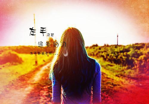 沈扶音陆今安小说免费阅读全文 清风未挽旧时人免费阅读小说