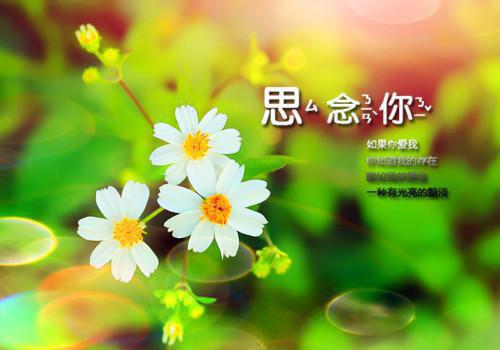 周令熙沈闻妄秦珊珊小说叫什么 三珊小说最新章节列表