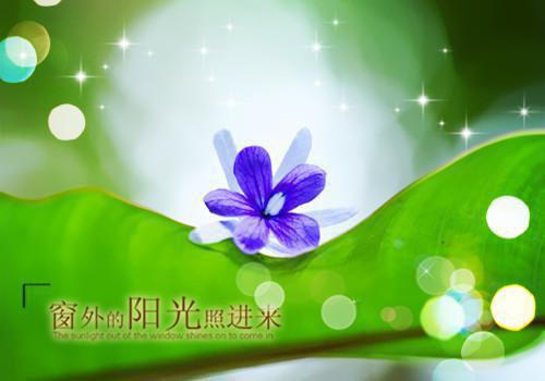 沐瑶萧逸尘的小说叫什么 谋反后，被恋爱脑王爷宠上天免费阅读小说