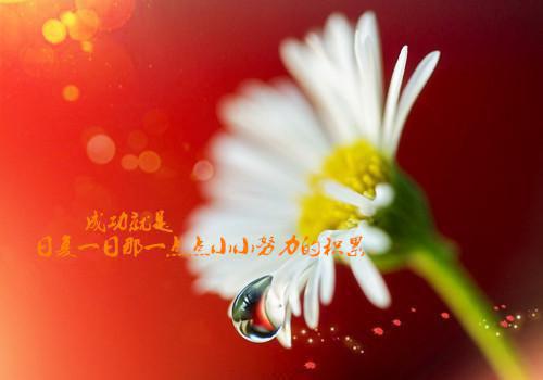 苏夏陆其野楚妍最新章节更新状态 苏夏知乎小说