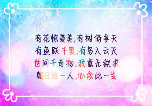 许一帆笔趣阁免费阅读 重生后我把自己吃过敏进医院,所有人都傻了小说正版免费阅读