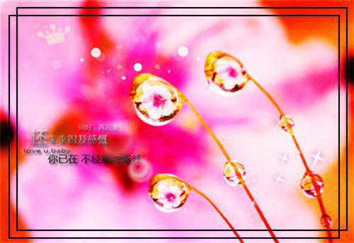 卢晚黎林士宏卢晚棠叫什么小说 重生后换亲，前夫他悔疯了：后续小说完整版免费