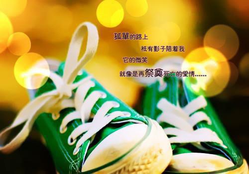 姜冉陆羡野小说叫什么名字 凛冬已至，爱意迟迟：番外小说