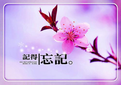 萧靳颜季清野小说结局 被室友发现身体秘密后小说完整版免费