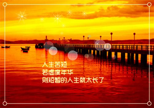 顾念沈澈结局 婆婆被实习生打死，老公却为凶手开脱全文免费阅读