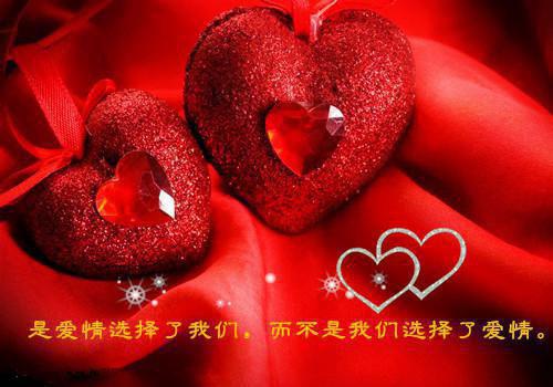 谷洛妍谢徊璟谷婕免费阅读 恰似繁星映晚空免费阅读全文