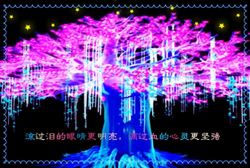 冷时景司霆舟最新章节更新 流星划过不周山：后续最新章节免费阅读