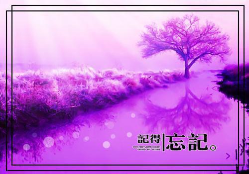 新婚三日，外室带崽上门了最新章节列表_新婚三日，外室带崽上门了全文免费阅读(谢云深柳依依陆明远)