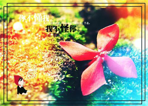 陈清宴顾雨笙最新章节内容 顾雨笙陈清宴全文免费阅读