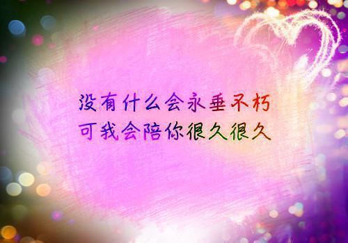 姜闻曦时阔宁小可什么关系 协议婚姻倒计时,他急着去见心上人免费阅读小说
