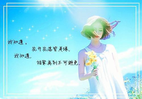 陆荷如吴绍博最新章节更新状态 陆荷如吴绍博by佚名