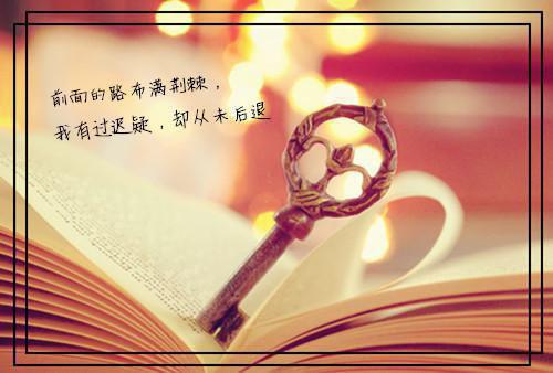 陈月明陆继安沈清清小说在线阅读 爱在迷途不知返免费阅读