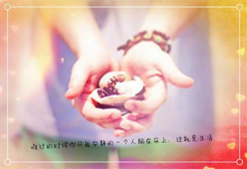 陈茜江寒免费阅读最新章节 饭店赚了八十万,男友给我留三千在线阅读