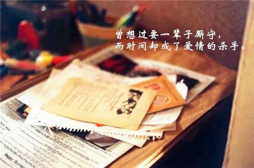 婚后请恋爱最新小说（严清越时轻盈）全文阅读