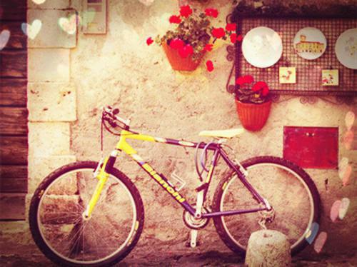 纪沐然霍叙舟夏若浅最新章节列表 风里寻香见你未删减小说