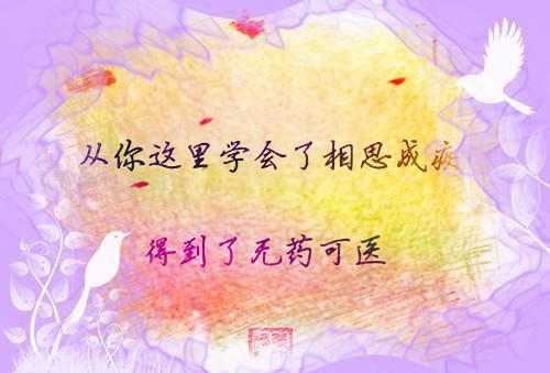 宋浅予谢寂洲是哪部小说 曾看不上的她,成心口朱砂痣笔趣阁最新章节