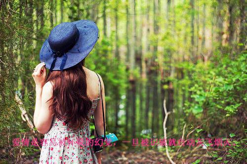 卢晚黎林士宏卢晚棠小说叫什么 重生后换亲,前夫他悔疯了:后续小说正版免费阅读