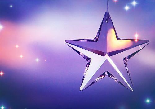 谢庭远秦昭雪小说叫什么 情意终成恨在线阅读