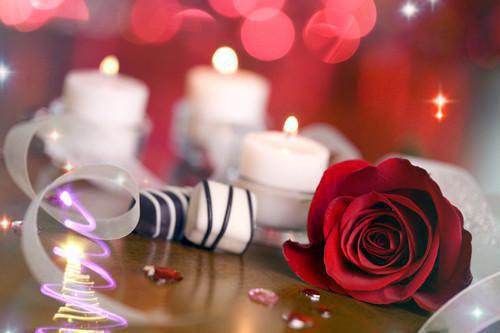 叶青弦傅临渊沈之禾免费阅读最新章节 萤火小幻梦大最新章节更新