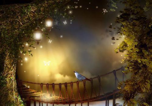 乔月霜傅南舟最新章节更新 乔月霜傅南舟知乎小说