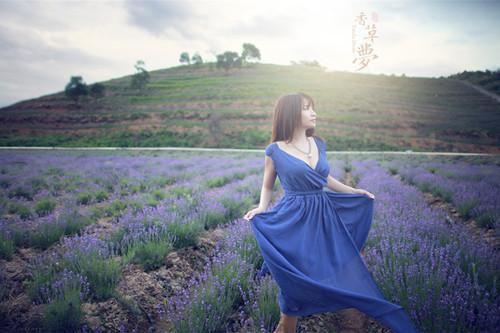 洛野苏白鸽的最新章节更新时间 不能说的秘密小说洛野苏白鸽免费阅读全文