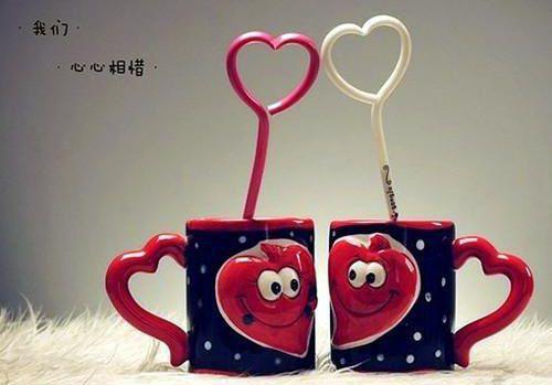 沈珞溪谢逐渊笔趣阁免费阅读 沈珞溪谢逐渊免费阅读小说