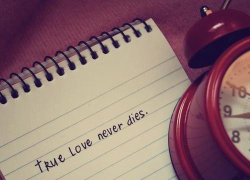 林逸苏晴的最新章节更新时间 扶弟魔妻子偷卖房产后我辞职了全文免费阅读