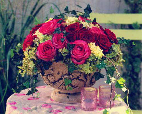 我朱彩华小说叫什么名字 重回胎梦,我还坏心眼姐姐一条小黑蛇小说我朱彩华