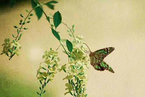 江翎雨宋仪玉最新章节更新 江翎雨宋仪玉知乎小说