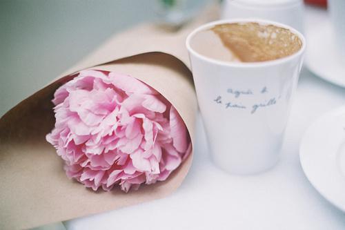 徐梦梦沈白小说 配合傻眼免费阅读小说