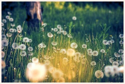 全文浏览完美世界银子（雪琳石昊）_完美世界银子（雪琳石昊）全文结局