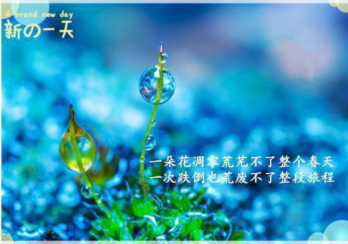 我周冰冰魏宇刘建国最新章节列表 女儿用我的退休金孝顺婆婆,我断供后她悔疯了:后续by小说家免费阅读