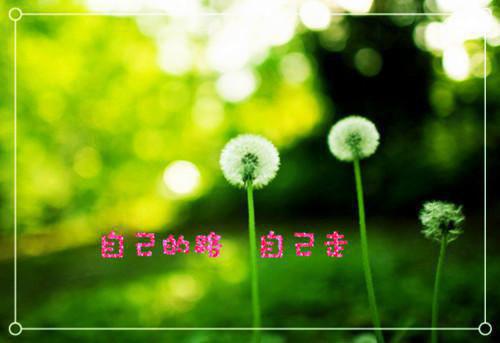 温曦宁陆瑾霖结局 温曦宁陆瑾霖男主温曦宁陆瑾霖小说