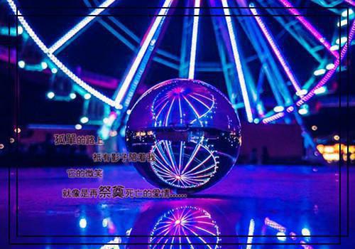 苏瑾月陆时衍免费阅读最新章节结局 繁花落尽爱已眠最新章节免费阅读