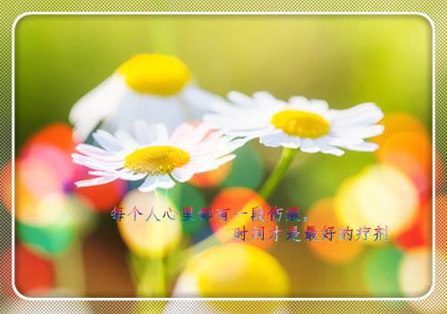 乔聆月陆肆年的小说叫什么 恨比爱长，生无绝期免费阅读