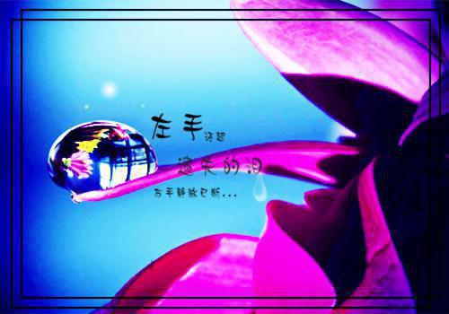 林芷晴陈旭小说 发现停车券少三张后我让老公净身出户林芷晴陈旭大结局