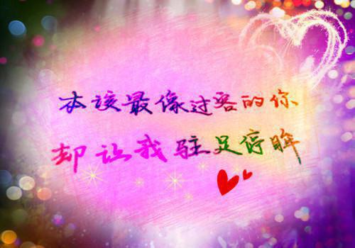 云烟云瑶免费阅读最新章节 云烟落锦城免费阅读小说