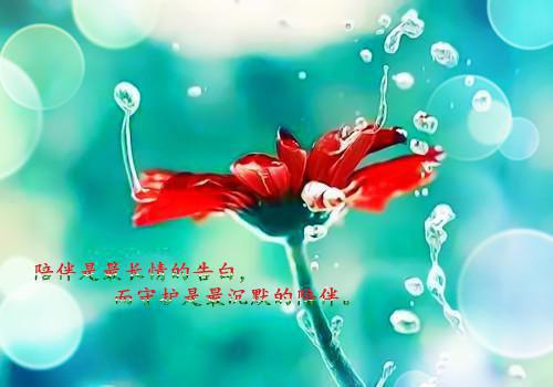 沈木兮魏行舟小说叫什么 他在日落里未完待续沈木兮魏行舟小说